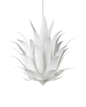 Images Shw9000-1263_4.jpg